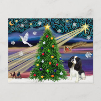 Chrisstmas Magic Cavalier King Charles (Tri) Postkarte