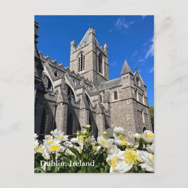 Christ Church in Dublin, Irland Postkarte (Vorderseite)