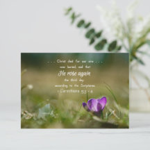 Christ Rose wieder Crocus Card