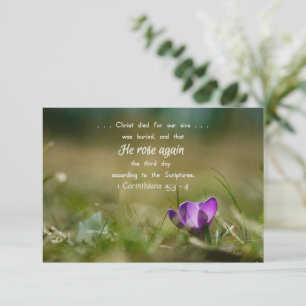 Christ Rose wieder Crocus Card Dankeskarte