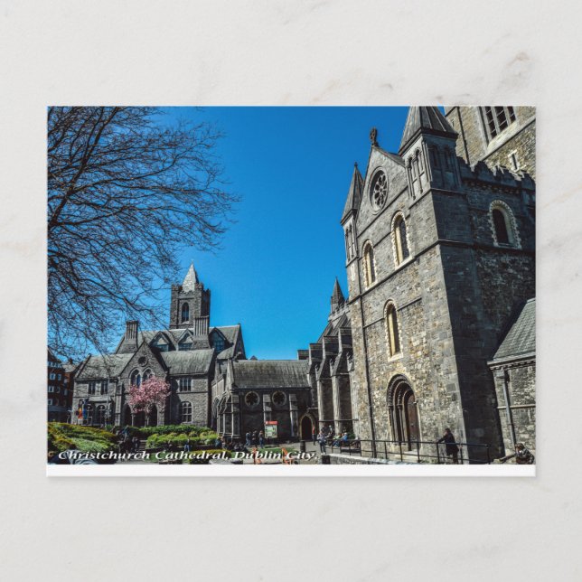 Christchurch Cathedral, Dublin Irland Postcard Postkarte (Vorderseite)