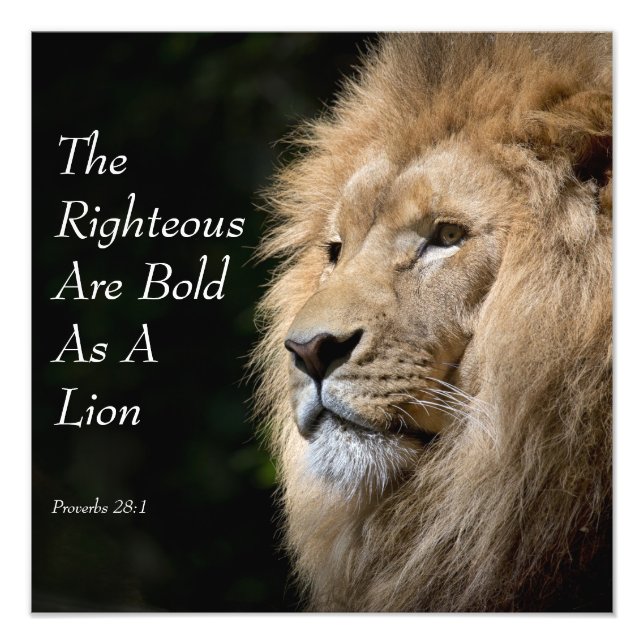 Christian Art - Lion - Proverbs 28:1 Fotodruck (Vorne)