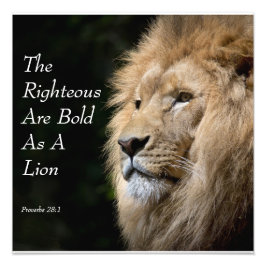 Christian Art - Lion - Proverbs 28:1 Fotodruck
