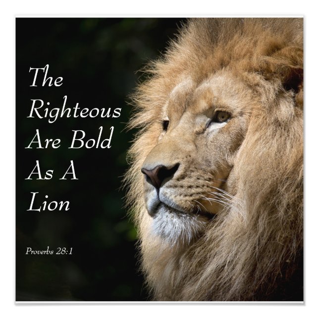 Christian Art - Lion - Proverbs 28:1 Fotodruck (Vorne)