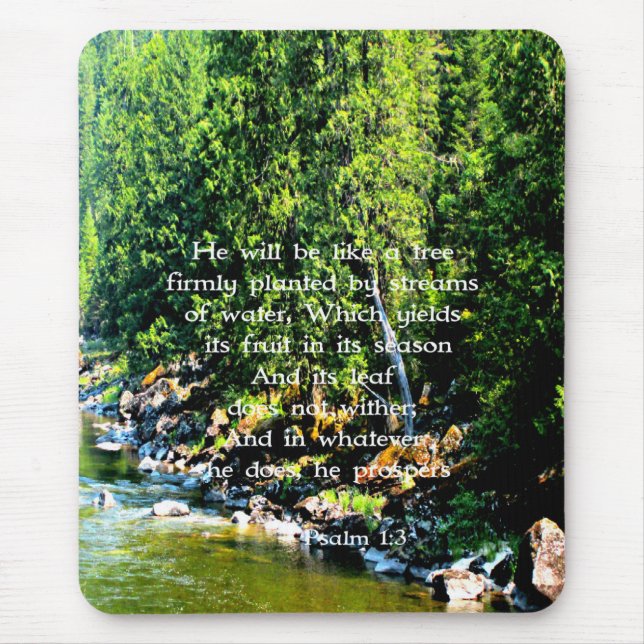 Christlich Forest Foto Bibel Verse Mousepad (Vorne)