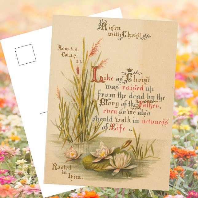 Christliche katholische Bibelkirche ist Ostern Feiertagspostkarte (Religious Christian Catholic Saint Paul Bible Verse Christ is Risen Resurrection Easter Postcard)