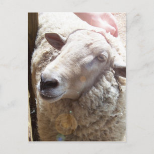 Christliche Postkarte des Gottes