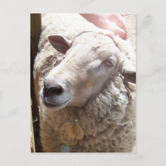 Christliche Postkarte des Gottes (Vorderseite)