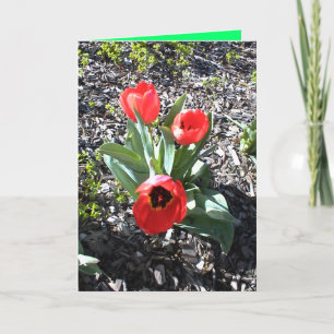 Christliche Weihnachtskarte für beraubte Person Feiertagskarte