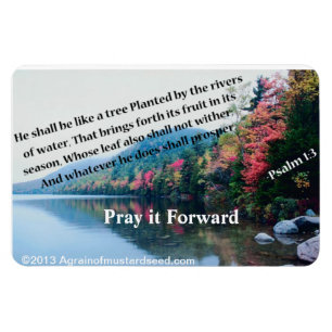 Christliche Zitate Inspiration Magnet