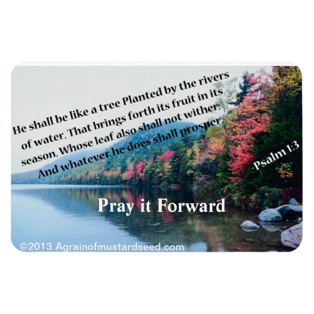 Christliche Zitate Inspiration Magnet (Horizontal)