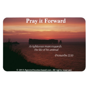 Christliche Zitate Inspirierend Magnet