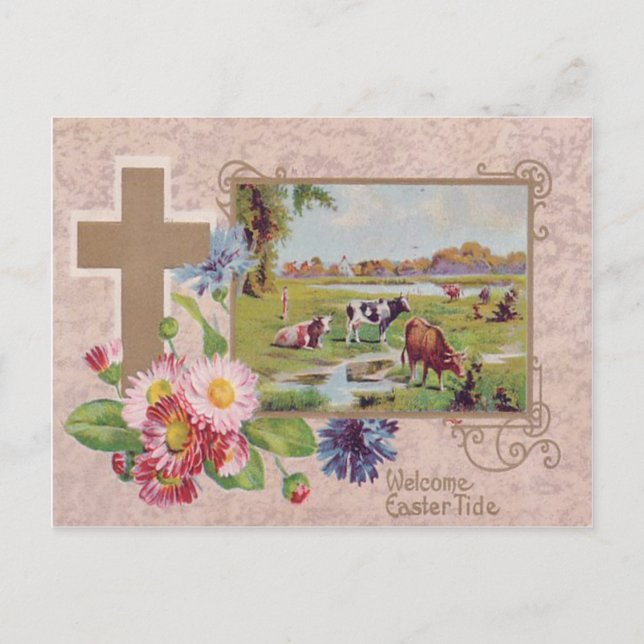 Christliches Kreuz Gänseblümchen Kuhweide Postkarte (Vorderseite)