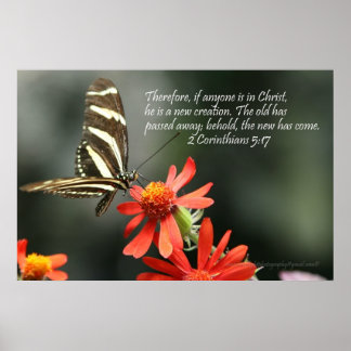 Christliches Poster - Schmetterling - Neue Kreatio