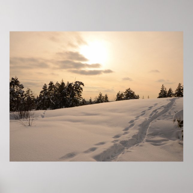 Christman Afternoon Snowy Scene Poster (Vorne)