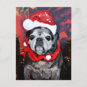 Christmas - Angel - Pug Feiertagspostkarte
