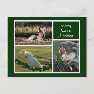 Christmas Animals Aussie Style - Personalizable Feiertagspostkarte