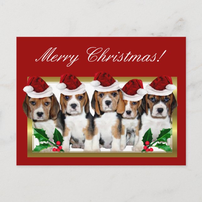 Christmas Beagle Puppies Postcard Feiertagspostkarte (Vorderseite)