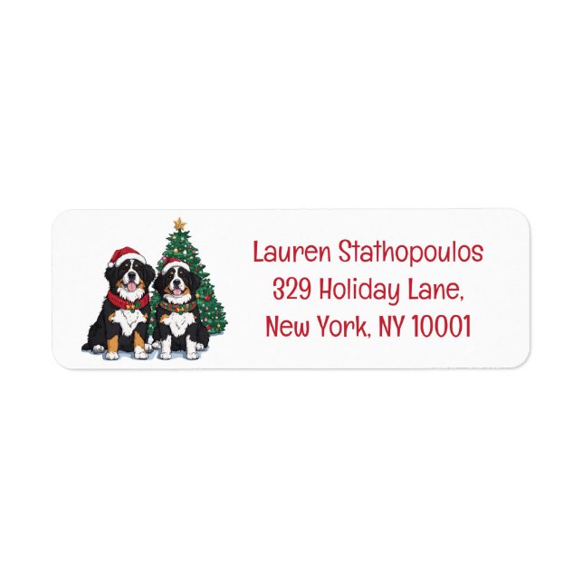 Christmas Bernese Mountain Dogs (Vorne)