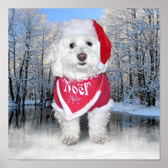 Christmas Bichon Frise Dog Poster (Vorne)