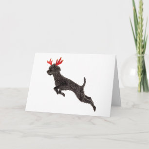 Christmas Black Toy Poodle Dog Rentier Antlers Feiertagskarte
