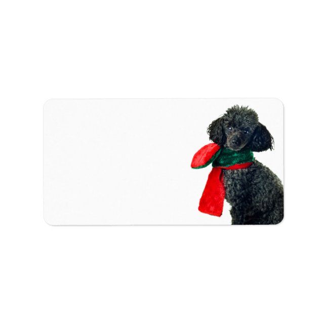 Christmas Black Toy Poodle Dog Rentier Red Scarf Adressaufkleber (Vorne)
