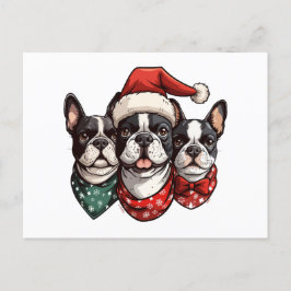 Christmas Boston Terrier Dogs Postkarte