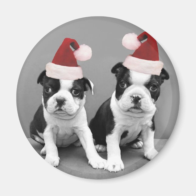 Christmas Boston Terriers Magnet (Vorne)
