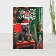Christmas Bouvier des Flandres Dog Naughty oder Ni