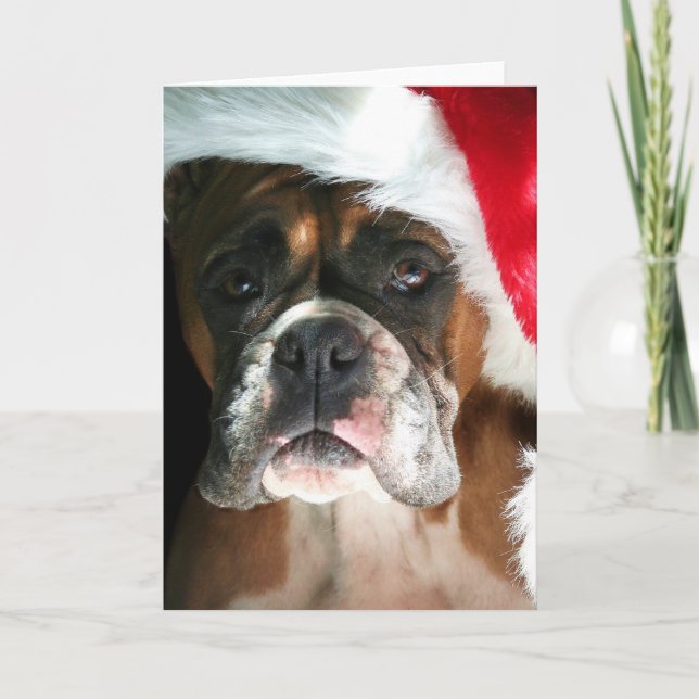 Christmas Boxer Dog Grußkarte Feiertagskarte (Vorderseite)
