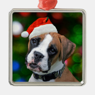 Christmas Boxer Silbernes Ornament