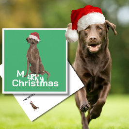 Christmas Brown Labrador Hund Grün Fröhlicher Gruß