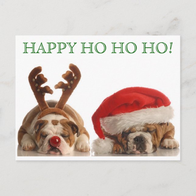 Christmas Bulldogs Postcard 2 Feiertagspostkarte (Vorderseite)
