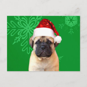 Christmas Bullmastiff Feiertagspostkarte