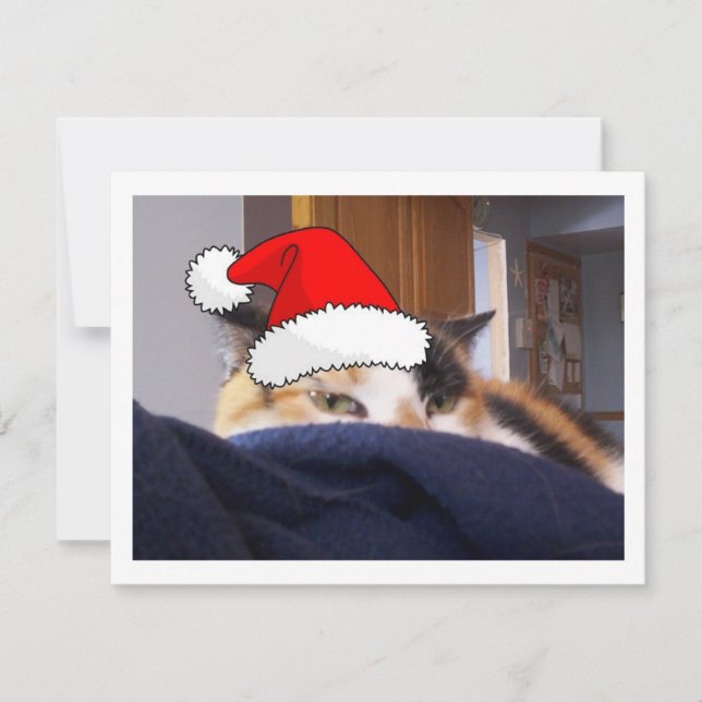 Christmas Calico Cat Feiertagskarte (Vorderseite)