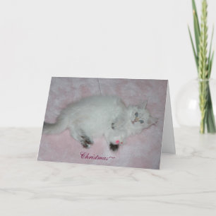 Christmas Card Feiertagskarte