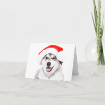 CHRISTMAS CARD HUSKY PUPPY MIT WEIHNACHTSMANNMÜTZE