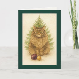 Christmas Card – Maine Coon Cat Feiertagskarte