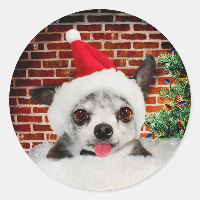 CHRISTMAS CARD UMSCHLAG AUFKLEBER STICKERS CHIHUAH (Vorderseite)