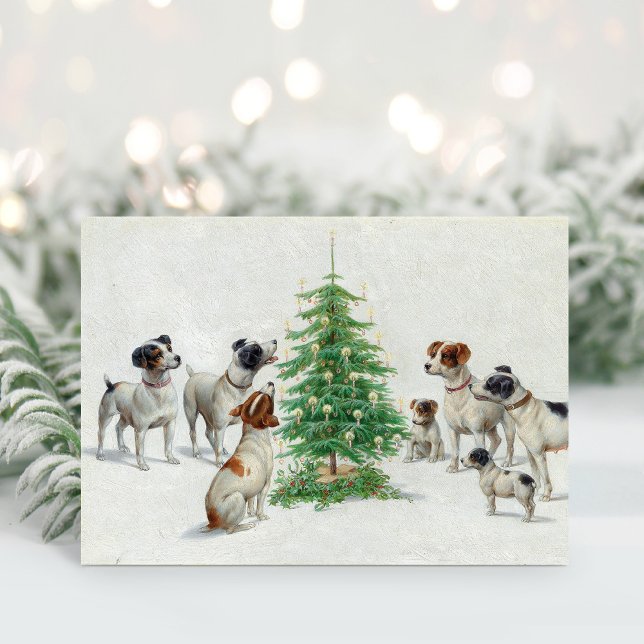 Christmas | Carl Reichert Karte (Von Creator hochgeladen)