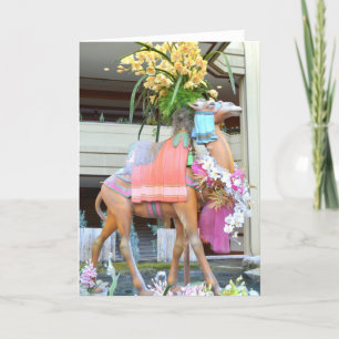 Christmas Carousel Camel Feiertagskarte