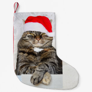 Christmas Cat Humbug Foto Kleiner Weihnachtsstrumpf