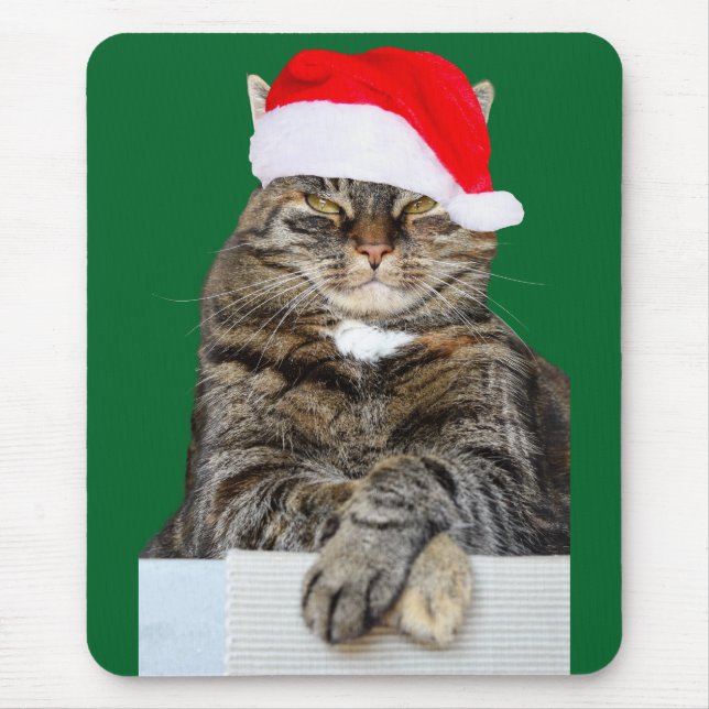 Christmas Cat Humbug Foto mit Weihnachtsmannmütze Mousepad (Vorne)