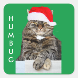 Christmas Cat Humbug Foto mit Weihnachtsmannmütze Quadratischer Aufkleber