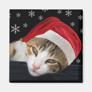 Christmas Cat Magnet
