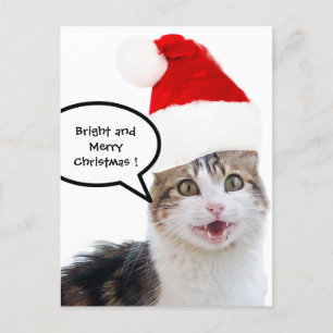 CHRISTMAS CAT MIT SANTA CLAUS HAT FEIERTAGSPOSTKARTE
