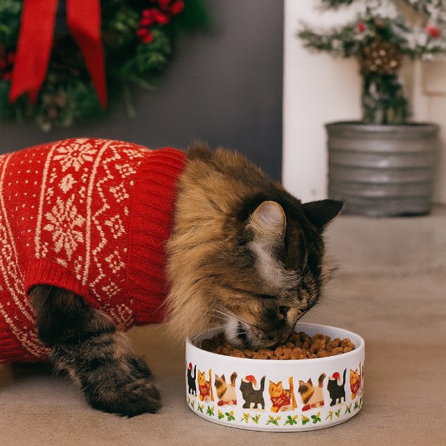 Christmas Cat Trio with Holly Trail Napf (Capture the spirit of the season where pets are part of the celebration.)