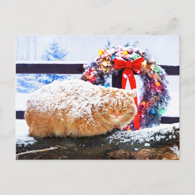 "Christmas Cheeto" Postkarte (Vorderseite)