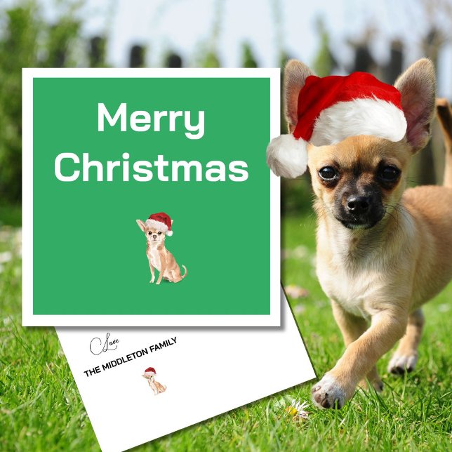 Christmas Chihuahua Dog White Green Merry Gruß (Von Creator hochgeladen)