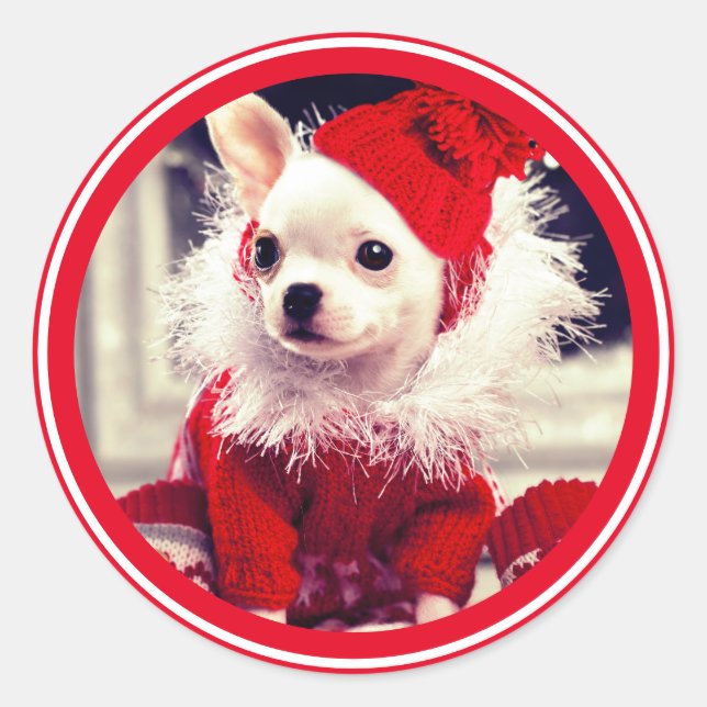CHRISTMAS CHIHUAHUA Sticker UMSCHLAG AUFKLEBER (Vorderseite)